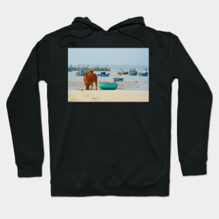 Cow on Mui Ne Beach Hoodie